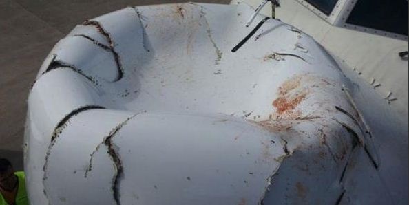 Δείτε τι ζημιά έπαθε ένα αεροπλάνο της Turkish Airlines μετά την σύγκρουσή του με... πτηνό! [photos] - Φωτογραφία 3