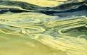 H γύρη έβαψε και την θάλασσα της Ναυπάκτου - Δείτε απίθανες φωτογραφίες - Φωτογραφία 10
