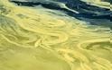 H γύρη έβαψε και την θάλασσα της Ναυπάκτου - Δείτε απίθανες φωτογραφίες - Φωτογραφία 11