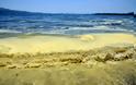 H γύρη έβαψε και την θάλασσα της Ναυπάκτου - Δείτε απίθανες φωτογραφίες - Φωτογραφία 5