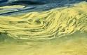 H γύρη έβαψε και την θάλασσα της Ναυπάκτου - Δείτε απίθανες φωτογραφίες - Φωτογραφία 9