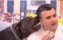Ο σκύλος της Σπυροπούλου... επιτέθηκε στους συνεργάτες της εκπομπής on air [video]