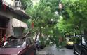 Πανικός στο κέντρο της Αθήνας - Αέρας ξερίζωσε δέντρο και το προσγείωσε σε... αυτοκίνητο! [photos] - Φωτογραφία 3