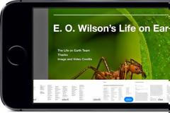Στο ios 8.4 b3 μπορείτε τώρα να ανοίξετε ένα διαδραστικό βιβλίο και στο iPhone