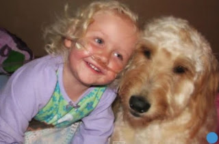 Θα συγκινηθεί και ο πιο σκληρόκαρδος: Πώς ένας σκύλος δίνει ζωή σε ένα κοριτσάκι [video] - Φωτογραφία 1