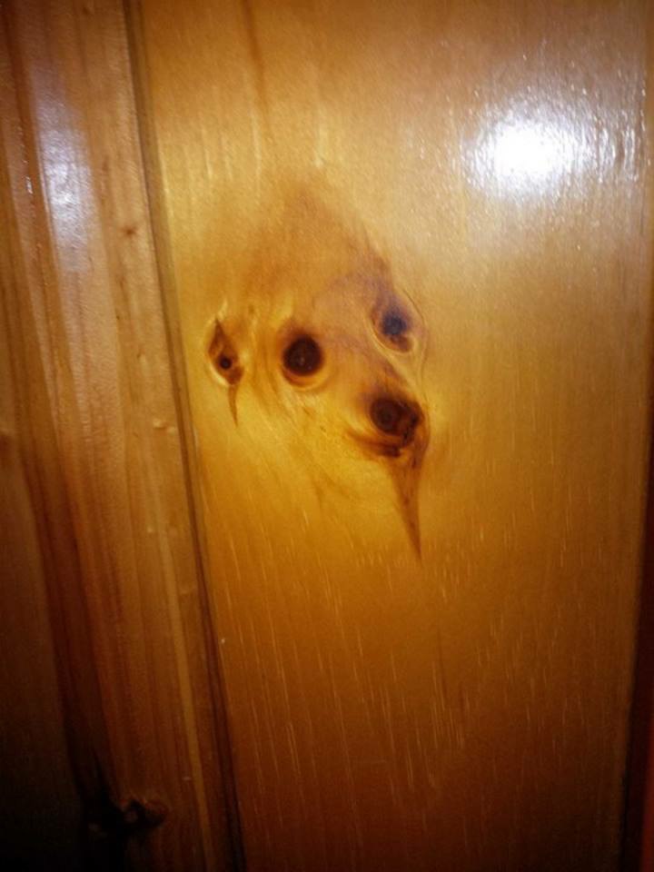 AΠΙΣΤΕΥΤΟ κι όμως αληθινό: Το πνεύμα του σκύλου “εμφανίστηκε” σε πόρτα...Δείτε τη φωτογραφία! [photo] - Φωτογραφία 2