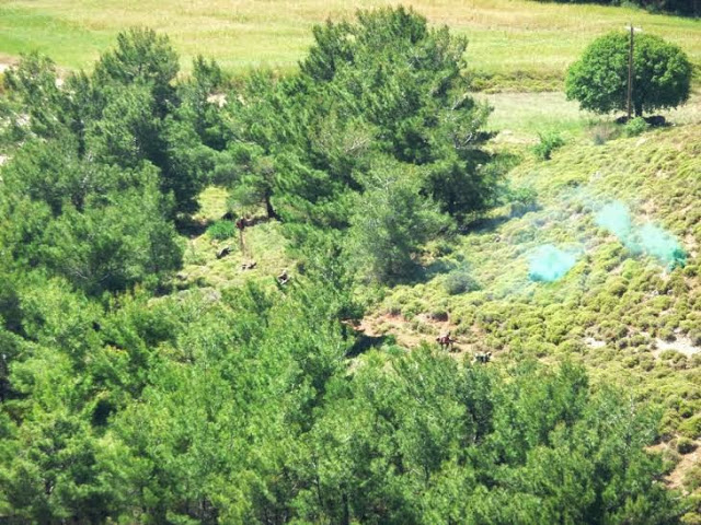 Επιχειρησιακή Εκπαίδευση στην ΠΕ της 80 ΑΔΤΕ - Φωτογραφία 9