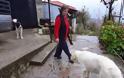 Ιωάννινα: H γυναίκα που ζει ολομόναχη σε ένα χωριό της οριογραμμής με την Αλβανία