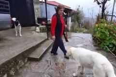 Ιωάννινα: H γυναίκα που ζει ολομόναχη σε ένα χωριό της οριογραμμής με την Αλβανία