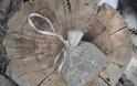 Χειροπέδες σε 51χρονο για καλλιέργεια δενδρυλλίων κάνναβης στην Αρχαία Ολυμπία [photos] - Φωτογραφία 8