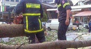 Χαμός από την κακοκαιρία στην Καστοριά: Δέντρο καταπλάκωσε αυτοκίνητα και δρόμοι πλημμύρισαν - Φωτογραφία 1