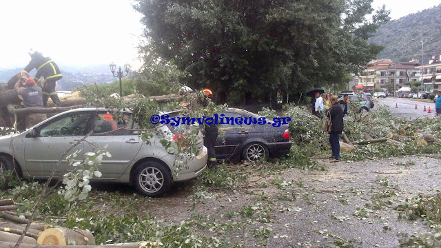Χαμός από την κακοκαιρία στην Καστοριά: Δέντρο καταπλάκωσε αυτοκίνητα και δρόμοι πλημμύρισαν - Φωτογραφία 2