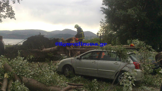 Χαμός από την κακοκαιρία στην Καστοριά: Δέντρο καταπλάκωσε αυτοκίνητα και δρόμοι πλημμύρισαν - Φωτογραφία 3