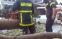 Χαμός από την κακοκαιρία στην Καστοριά: Δέντρο καταπλάκωσε αυτοκίνητα και δρόμοι πλημμύρισαν