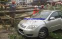 Χαμός από την κακοκαιρία στην Καστοριά: Δέντρο καταπλάκωσε αυτοκίνητα και δρόμοι πλημμύρισαν - Φωτογραφία 4