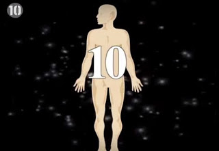 10 απίστευτα στοιχεία που δεν γνωρίζετε για το ανθρώπινο σώμα! [video] - Φωτογραφία 1
