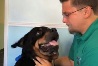 Βίντεο που θα σου ραγίσει την καρδιά: Αυτός ο σκύλος ξανασυναντά τον ιδιοκτήτη του μετά από 8 χρόνια! [video] - Φωτογραφία 1