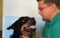 Βίντεο που θα σου ραγίσει την καρδιά: Αυτός ο σκύλος ξανασυναντά τον ιδιοκτήτη του μετά από 8 χρόνια! [video]