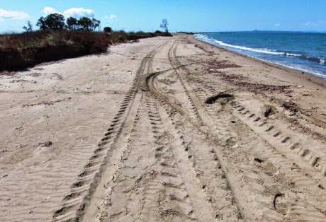 Έκκληση: Μην οδηγείτε στις παραλίες και αμμόλοφους του Πάρκου Κοτυχίου-Στροφυλιάς, κυκλοφορούν χελώνες - Φωτογραφία 1