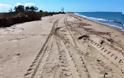 Έκκληση: Μην οδηγείτε στις παραλίες και αμμόλοφους του Πάρκου Κοτυχίου-Στροφυλιάς, κυκλοφορούν χελώνες