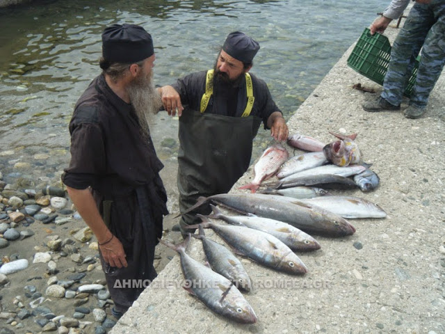 6515 - Χειροτονία νέου Ιερέα στην Ιερά Μονή Δοχειαρίου Αγίου Όρους - Φωτογραφία 8