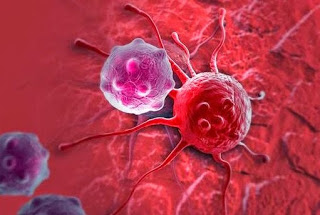 Βρέθηκε το φάρμακο που σκοτώνει τον καρκίνο: Σε 2 εβδομάδες εξαφάνισε 70 θανατηφόρους καρκινικούς όγκους - Φωτογραφία 1
