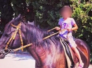 Βόλος: Αφηνιασμένο άλογο σκότωσε 8χρονο κοριτσάκι - Φωτογραφία 1