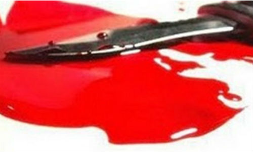 Άγριο έγκλημα στην Αργολίδα: Σκότωσε τη 33χρονη σύζυγό του - Φωτογραφία 1