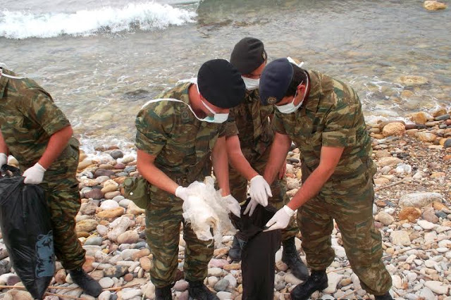 Κοινωνική Προσφορά Στρατού Ξηράς στην ΠΕ της ΑΣΔΕΝ - Φωτογραφία 12