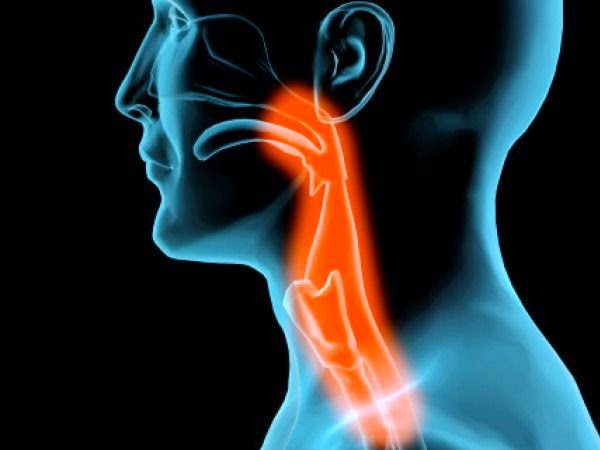 Καρκίνος του λάρυγγα (larynx cancer). Ποια τα συμπτώματα, ποιοι κινδυνεύουν και πώς προλαμβάνεται; - Φωτογραφία 2