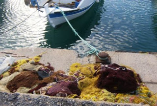 ΣΟΚ στην Εύβοια: Πάγωσε ο ψαράς με αυτό που είδε - Η εικόνα που δεν θα ξεχάσει ποτέ στη ζωή του! - Φωτογραφία 1