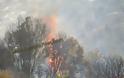 Ο απολογισμός της Πυροσβεστικής για την χθεσινή πυρκαγιά στον Προφήτη Ηλία Μυτιλήνης- 100 στρέμματα έγιναν στάχτη
