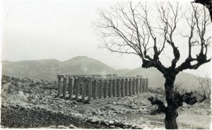 Ο θαυμαστός Ναός του Επικούριου Απόλλωνα - Φωτογραφία 2