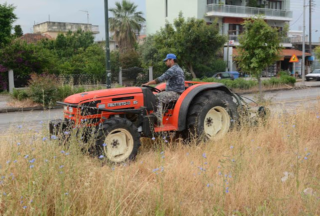 Καθαρισμός στην Παραλία δήμου Πατρέων [photos] - Φωτογραφία 4