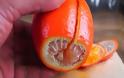 Υπέροχο: Δείτε τι θα κάνει στο πορτοκάλι με μόλις 3 χαρακιές και θα εκπλαγείτε [video]