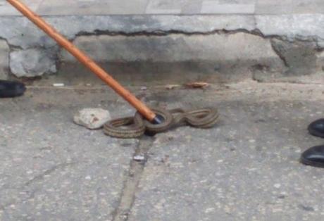 Φίδια κόβουν βόλτες σε Πύργο και Αμαλιάδα - Φωτογραφία 1