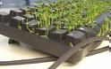 ΤΕΛΕΙΟ:Δες πώς θα φυτέψεις δεντράκια μέσα στο πληκτρολόγιο σου [photos]