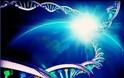 Πόσο ζυγίζει το DNA όλων των οργανισμών της Γης;