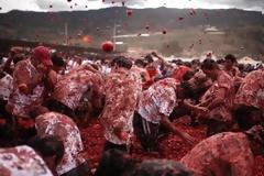 O... πόλεμος της ντομάτας στην Κολομβία [phots]