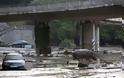 Τίγρεις, λιοντάρια και ιπποπόταμοι στους δρόμους της Τιφλίδας εξαιτίας πλημμύρας! 7 νεκροί [photos] - Φωτογραφία 5