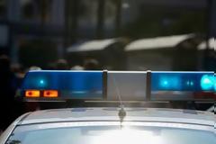 Αστυνομικοί έκαναν έφοδο σε σπίτι κρητικού και δείτε τι ανακάλυψαν