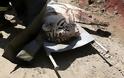 ΤΡΑΓΙΚΟ: Τίγρης που απέδρασε από το ζωολογικό κήπο στην Τιφλίδα σκότωσε έναν άνδρα [photos] - Φωτογραφία 1