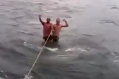 ΑΠΙΣΤΕΥΤΟ: Δύο άνδρες κάνουν σέρφινγκ... στην πλάτη φαλαινοκαρχαρία [video]