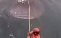 ΑΠΙΣΤΕΥΤΟ: Δύο άνδρες κάνουν σέρφινγκ... στην πλάτη φαλαινοκαρχαρία [video] - Φωτογραφία 3