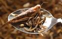 7 λόγοι για να αρχίσουμε να τρώμε… έντομα