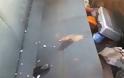 Βίντεο ΣΟΚ: Έσφαξε Αστυνομικό μέσα στο περιπολικό - Eικόνες που κόβουν την ανάσα [photos+video] - Φωτογραφία 5