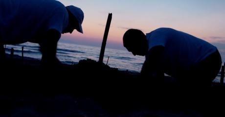 Πάτρα: Ξεκίνησε η ωοτοκία θαλάσσιας χελώνας Caretta caretta αλλά με προβλήματα! - Φωτογραφία 3