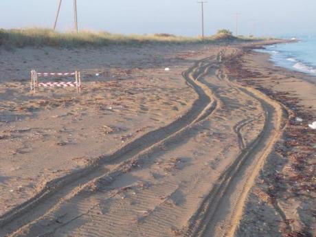 Πάτρα: Ξεκίνησε η ωοτοκία θαλάσσιας χελώνας Caretta caretta αλλά με προβλήματα! - Φωτογραφία 6