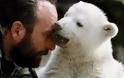 Πέθανε η μητέρα του Κνουτ, του πιο διάσημου πολικού αρκούδου