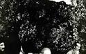 6683 - Μοναχός Εφραίμ Λαυριώτης (1926 – 25 Ιουνίου 1999) - Φωτογραφία 2